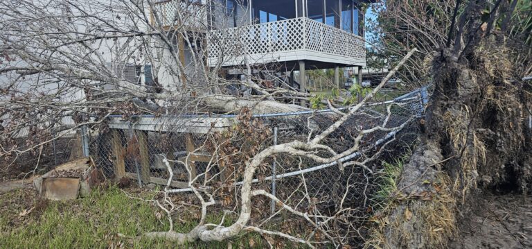 Debris Removal Services